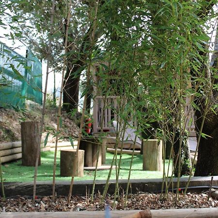 Вилла Le Domaine Du Naizadou Chalet Lou Grilh La Barriere Экстерьер фото