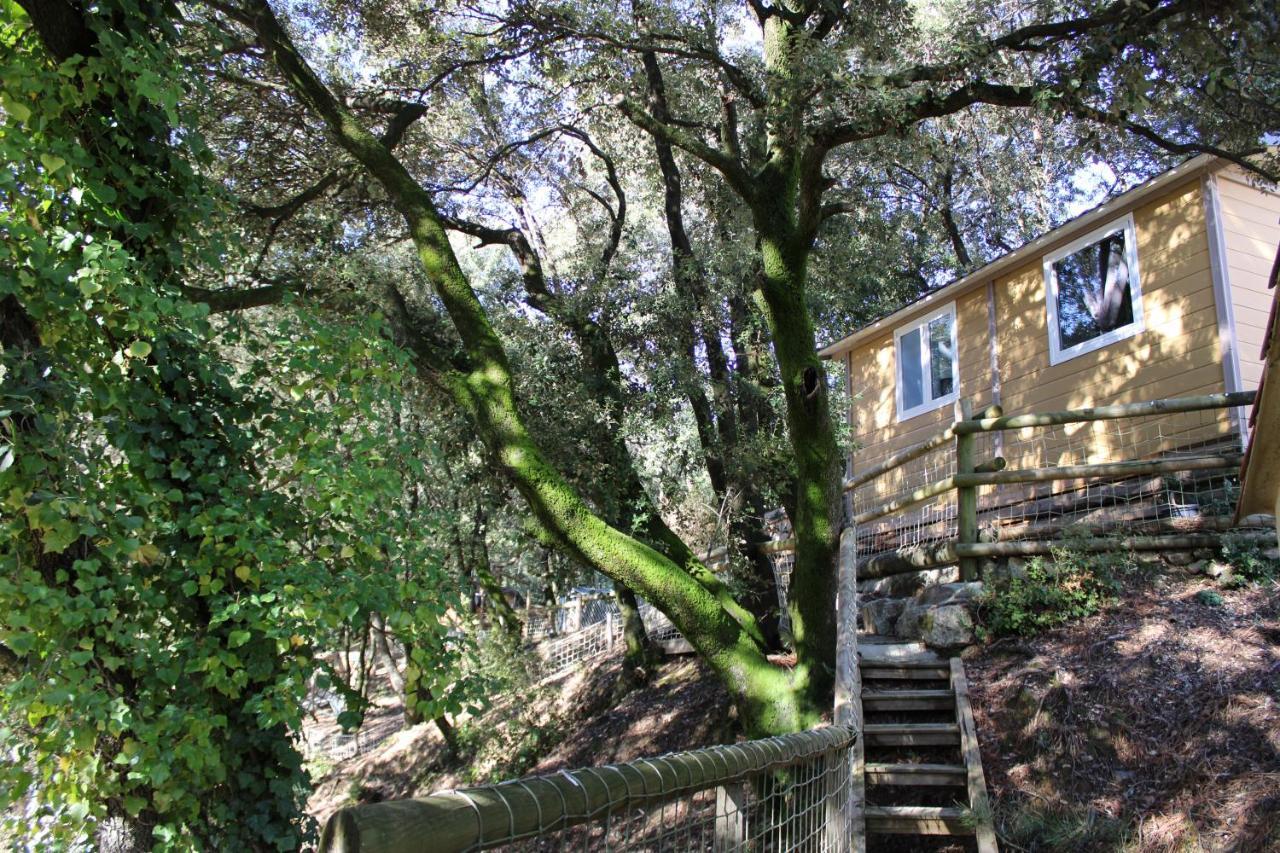 Вилла Le Domaine Du Naizadou Chalet Lou Grilh La Barriere Экстерьер фото